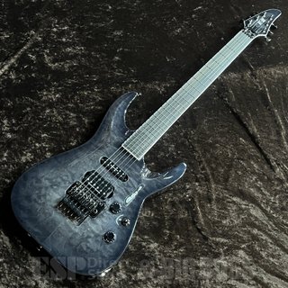SUGIZOの検索結果【楽器検索デジマート】