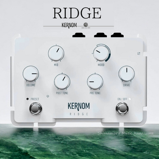 KERNOM RIDGE Augumented Analog Pedal 【在庫 - 有り｜送料無料!】