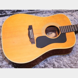 GUILD D-50 NT '77