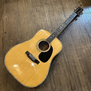 アコースティックギター／エレクトリック・アコースティック