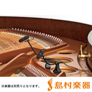 DPA Microphones d:vote CORE4099シリーズ ピアノ用マイクセット 楽器用マイクロホン