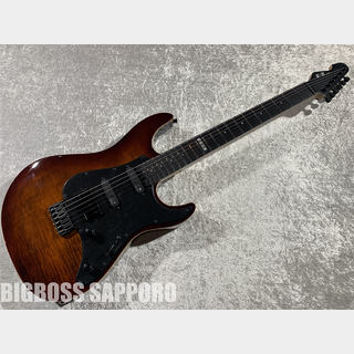 E-II SN-3 (Tiger Eye Sunburst)