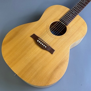 アコースティックギター／エレクトリック・アコースティックギター