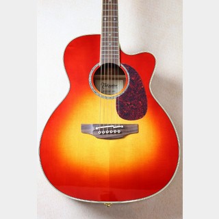 エレクトリック・アコースティックギター、Takamineの検索結果【楽器