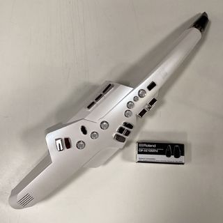 Roland AE-10