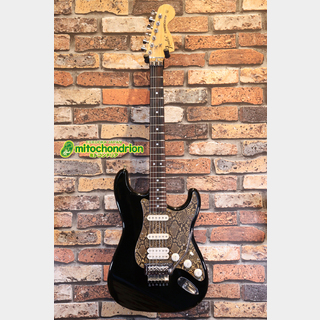 エレクトリックギター ＞ STタイプ、Fender Japanの検索結果【楽器検索