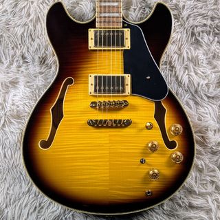 Ibanez JSM10EM John Scofield Signature【現物画像】9/25更新