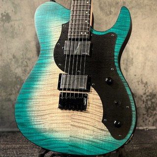 エレキギター、FUJIGEN(FGN)の検索結果【楽器検索デジマート】
