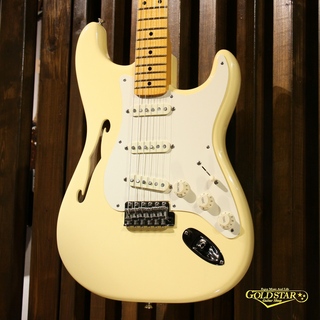 FenderEric Johnson Signature Stratocaster Thinline