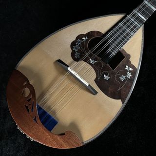 CALACEの検索結果【楽器検索デジマート】