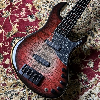AST Basses and Guitars Vintage5  RED LABEL