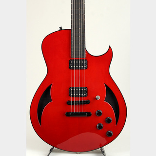 限定値下げ！】【激レア！ラリーカールトン使用】Liquid Chorus 激レア