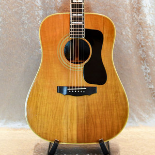 GUILD D-125 NAT　オール単板マホガニー　美品！　純正ハードケース付 GUILD、新品のアコースティックギター検索結果一覧 | 【クロサワ楽器店