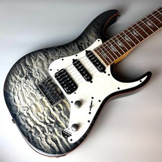 エレキギター、SCHECTERの検索結果【楽器検索デジマート】