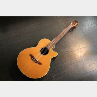 Takamine NPT-110N セール期間限定価格