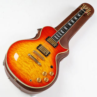 エレクトリックギター ＞ レスポールタイプ、Burnyの検索結果【楽器