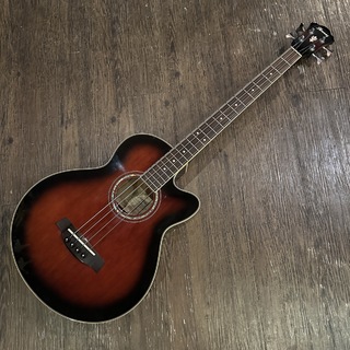 Ibanez AEB10E DVS Acoustic Electric Bass Guitar