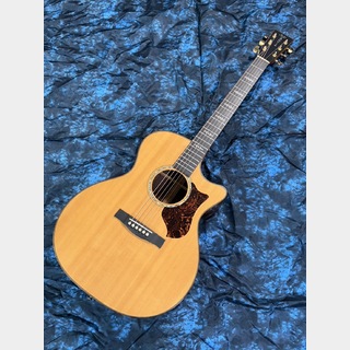 Martin、GPCPA1 Plusの検索結果【楽器検索デジマート】