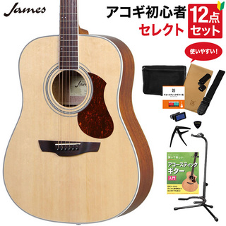 JamesJ-300D NAT アコースティックギター 教本付きセレクト12点セット 初心者セット