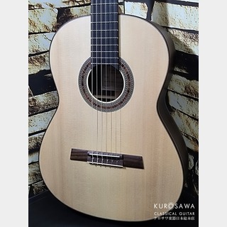 クラシック・ギター／フラメンコ・ギター、Karl Hofnerの検索結果