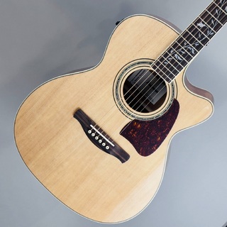 Ibanez AC390CE【現物画像】