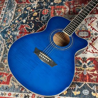 アコースティックギター／エレクトリック・アコースティック