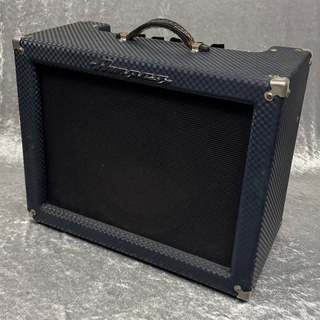 Ampeg SJ-12T SUPERJET【新宿店】