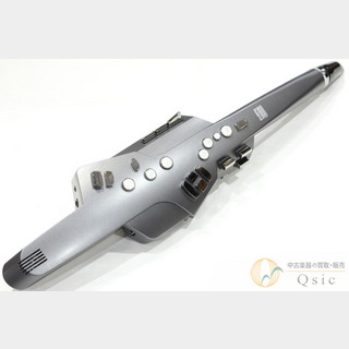 Roland AE-10G [TLH63]【難波店在庫】
