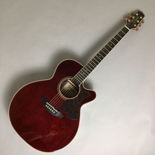 Takamine DMP50S WR エレアコギター セミハードケース付属 【島村楽器 x Takamine コラボモデル】