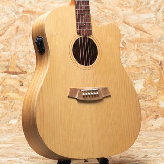 アコースティックギター／エレクトリック・アコースティックギター