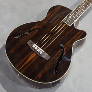 ELK ACOBE 4 F-Hole Premium Ebony【春の感謝祭!「あるとうれしいアクセサリー」プレゼント!】