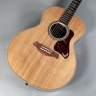 Taylor Gold Label 814e 【現物画像】