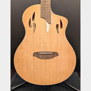 エレガットギターの検索結果【楽器検索デジマート】