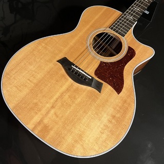 Taylor414ce RW V-Class エレアコギター