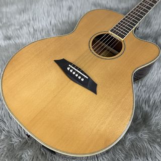 アコースティックギター／エレクトリック・アコースティックギター