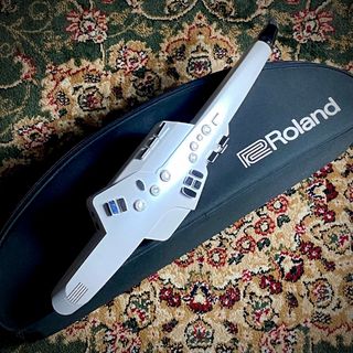 Roland 【現物画像】AE-10