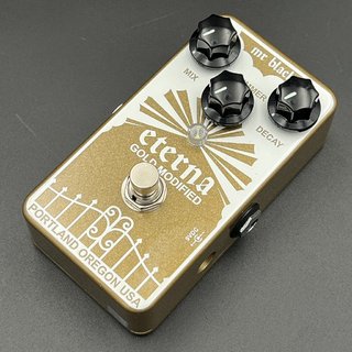 MR BLACKEterna Gold Modified【新宿店】