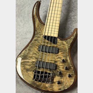 ベース、MTDの検索結果【楽器検索デジマート】