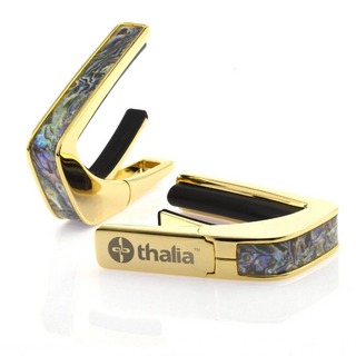 Thalia Capos 24K GOLD DRAGON ABALONE【Exotic Shell】 