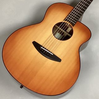 baden guitars 【Baden guitars】A-SR-SB-NVS-LC-LTD