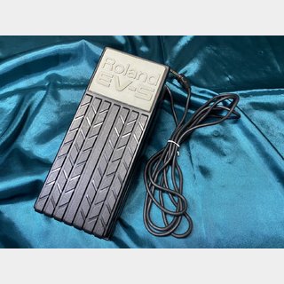 ギター Roland EV-5 Roland EV-5 Expression Pedal | Sweetwater