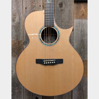 アコースティックギター／エレクトリック・アコースティックギター