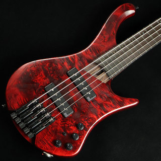 Ibanez EHB1505 Stained Wine Red Low Gloss　S/N：I240505057 【ヘッドレスベース】【５弦】 【未展示品】