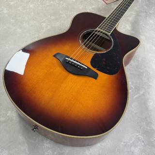 アコースティックギター／エレクトリック・アコースティックギター