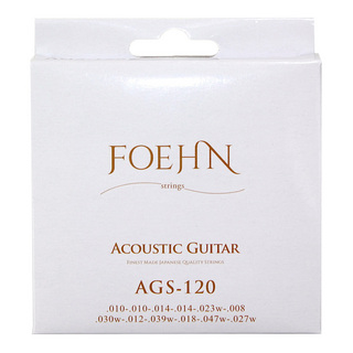 FOEHN AGS-120×2セット Acoustic Guitar Strings 12strings Light 80/20 Bronze 12弦アコースティックギター弦