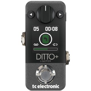 tc electronic DITTO+ ※国内正規品