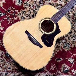 アコースティックギター／エレクトリック・アコースティックギター