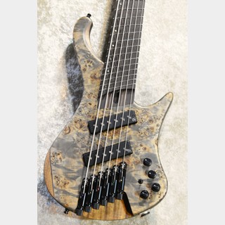 エレクトリック・ベース ＞ 変形タイプの検索結果【楽器検索デジマート】