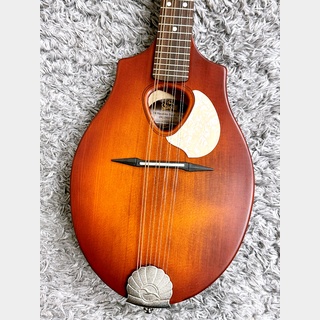 Seagull S8 Mandolin Burnt Amber 【アウトレット特価】【Made in Canada】