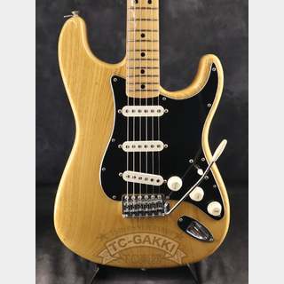 エレクトリックギター ＞ STタイプ、Fender、Stratocasterの検索結果